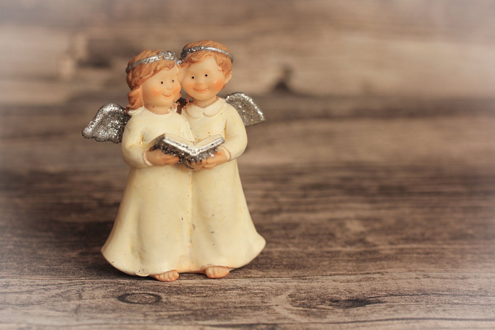 20201119IMG_3428_LR (c) Angela Koß