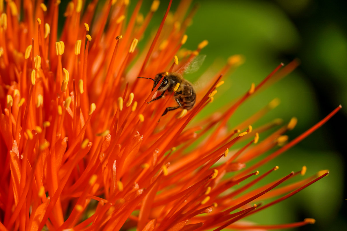 20190823DSC01613_HP (c) Angela Koß