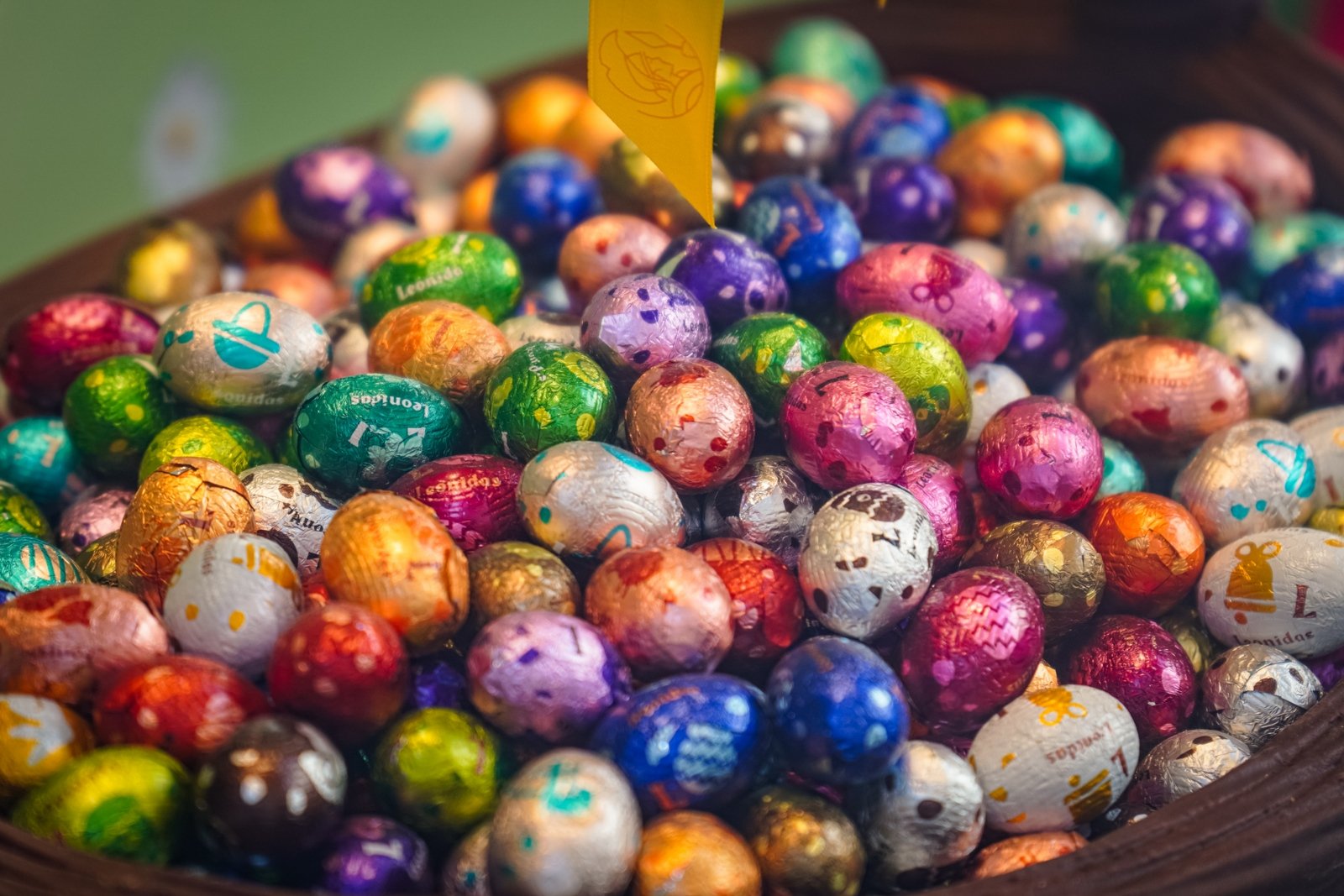 20260315DSC05903_LR (c) Angela Koß