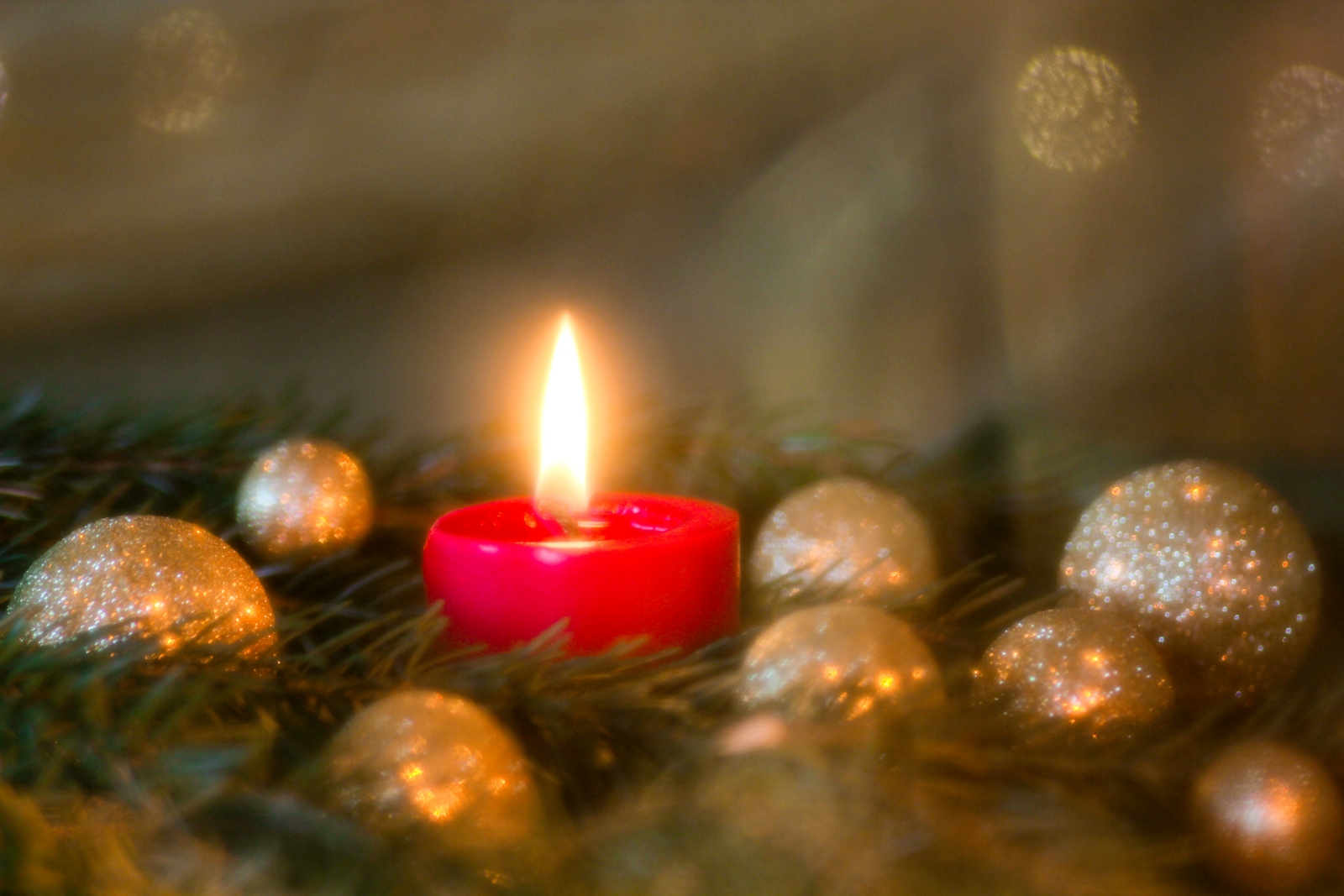 IMG_9868_LR (c) Angela Koß